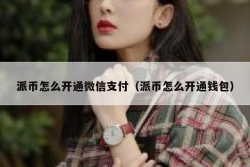 派币怎么开通微信支付（派币怎么开通钱包）