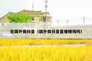 在国外做抖音（国外做抖音直播赚钱吗）