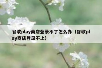 谷歌play商店登录不了怎么办（谷歌play商店登录不上）