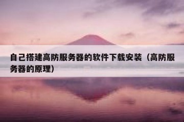 自己搭建高防服务器的软件下载安装（高防服务器的原理）