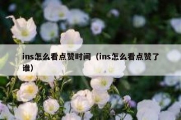 ins怎么看点赞时间（ins怎么看点赞了谁）