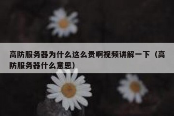 高防服务器为什么这么贵啊视频讲解一下（高防服务器什么意思）