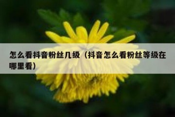怎么看抖音粉丝几级（抖音怎么看粉丝等级在哪里看）