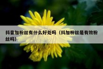 抖音加粉丝有什么好处吗（抖加粉丝是有效粉丝吗）