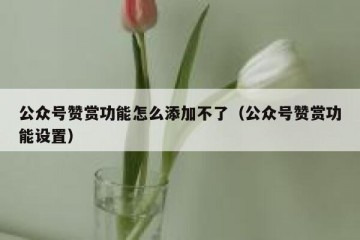 公众号赞赏功能怎么添加不了（公众号赞赏功能设置）