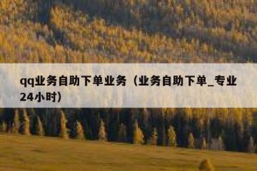 qq业务自助下单业务（业务自助下单_专业24小时）