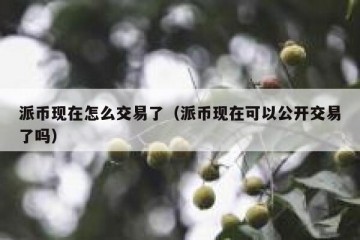 派币现在怎么交易了（派币现在可以公开交易了吗）