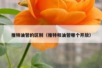 推特油管的区别（推特和油管哪个开放）