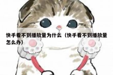 快手看不到播放量为什么（快手看不到播放量怎么办）