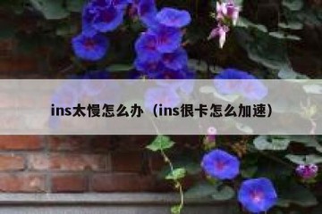 ins太慢怎么办（ins很卡怎么加速）