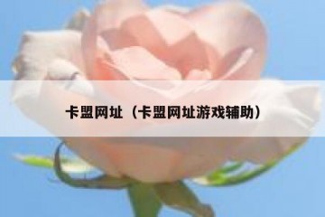 卡盟网址（卡盟网址游戏辅助）