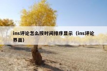 ins评论怎么按时间排序显示（ins评论界面）
