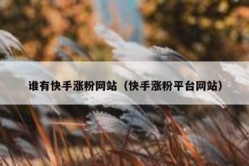 谁有快手涨粉网站（快手涨粉平台网站）