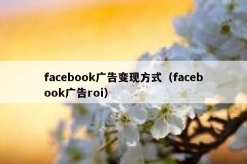 facebook广告变现方式（facebook广告roi）