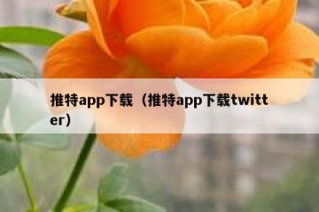 推特app下载（推特app下载twitter）