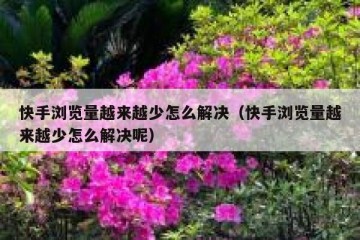 快手浏览量越来越少怎么解决（快手浏览量越来越少怎么解决呢）