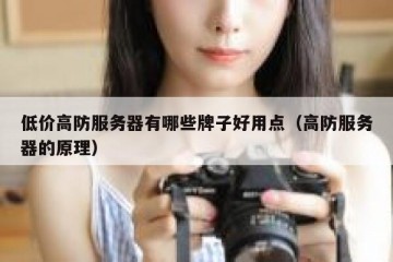 低价高防服务器有哪些牌子好用点（高防服务器的原理）