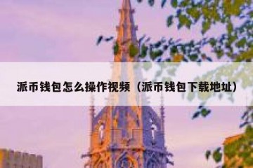 派币钱包怎么操作视频（派币钱包下载地址）