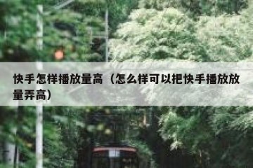 快手怎样播放量高（怎么样可以把快手播放放量弄高）