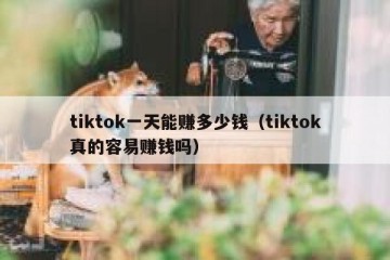 tiktok一天能赚多少钱（tiktok真的容易赚钱吗）