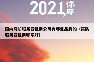 国内高防服务器租用公司有哪些品牌的（高防服务器租用哪家好）