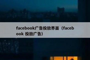 facebook广告投放界面（facebook 投放广告）