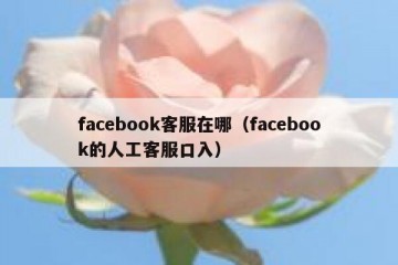 facebook客服在哪（facebook的人工客服口入）