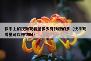 快手上的视频观看量多少有钱赚的多（快手观看量可以赚钱吗）