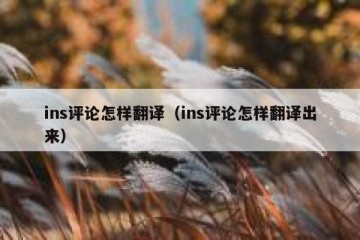 ins评论怎样翻译（ins评论怎样翻译出来）