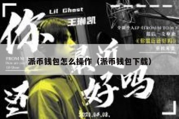 派币钱包怎么操作（派币钱包下载）