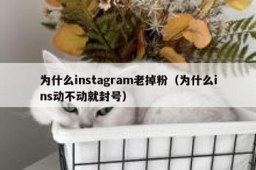 为什么instagram老掉粉（为什么ins动不动就封号）