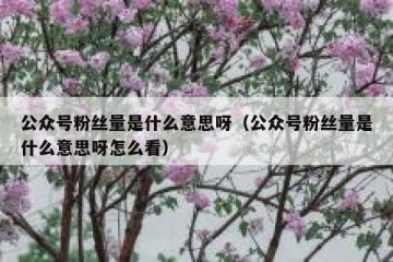 公众号粉丝量是什么意思呀（公众号粉丝量是什么意思呀怎么看）