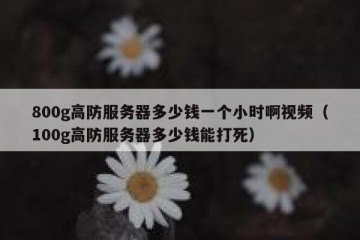 800g高防服务器多少钱一个小时啊视频（100g高防服务器多少钱能打死）