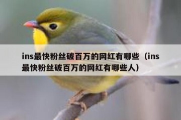 ins最快粉丝破百万的网红有哪些（ins最快粉丝破百万的网红有哪些人）