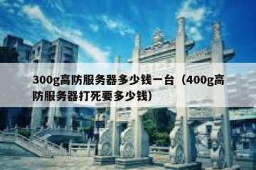 300g高防服务器多少钱一台（400g高防服务器打死要多少钱）