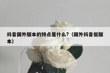 抖音国外版本的特点是什么?（国外抖音低版本）