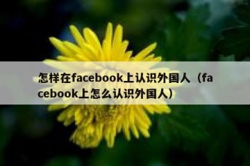 怎样在facebook上认识外国人（facebook上怎么认识外国人）