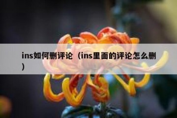 ins如何删评论（ins里面的评论怎么删）