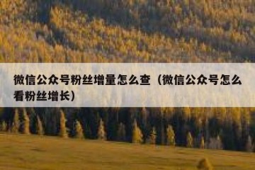 微信公众号粉丝增量怎么查（微信公众号怎么看粉丝增长）