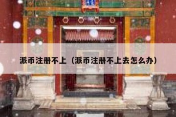 派币注册不上（派币注册不上去怎么办）