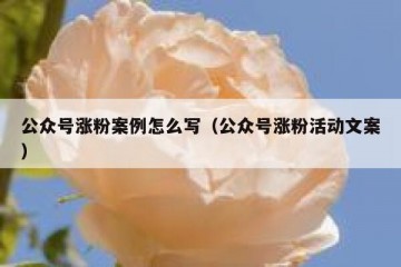 公众号涨粉案例怎么写（公众号涨粉活动文案）