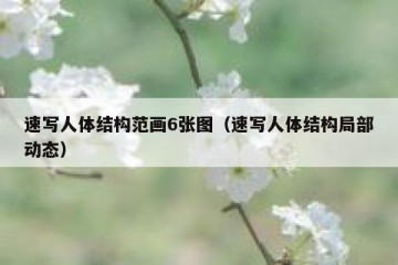 速写人体结构范画6张图（速写人体结构局部动态）