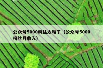 公众号5000粉丝太难了（公众号5000粉丝月收入）