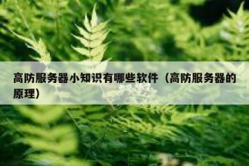 高防服务器小知识有哪些软件（高防服务器的原理）
