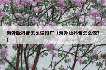 海外版抖音怎么做推广（海外版抖音怎么做?）