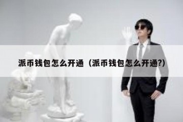 派币钱包怎么开通（派币钱包怎么开通?）