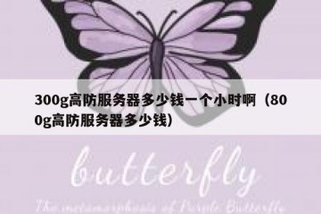 300g高防服务器多少钱一个小时啊（800g高防服务器多少钱）