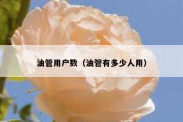 油管用户数（油管有多少人用）