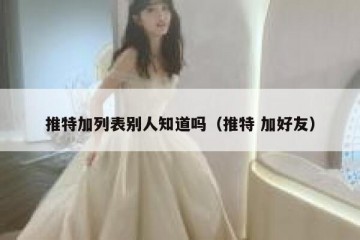 推特加列表别人知道吗（推特 加好友）