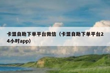 卡盟自助下单平台微信（卡盟自助下单平台24小时app）